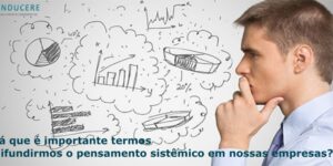 pensamento sistêmico