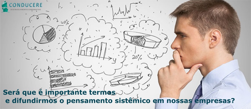 pensamento sistêmico
