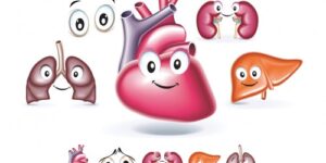 Doe órgãos e salve vidas