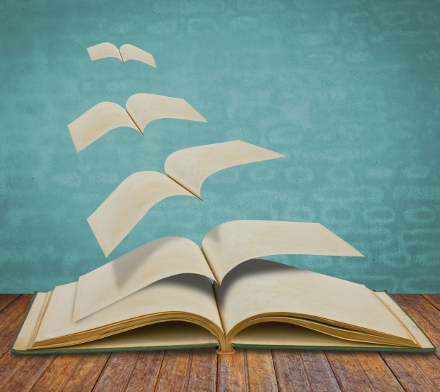 Manual da Liderança existe?
