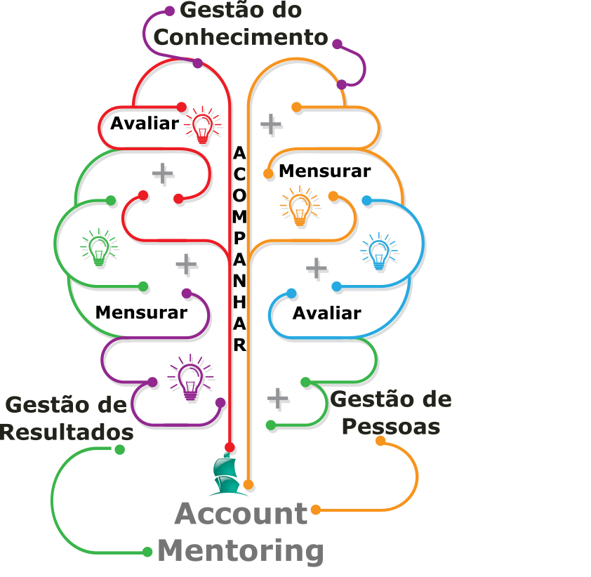 Promover o conhecimento com gestão de indicadores Promover o conhecimento: Metodologia do Account Mentoring da Conducere