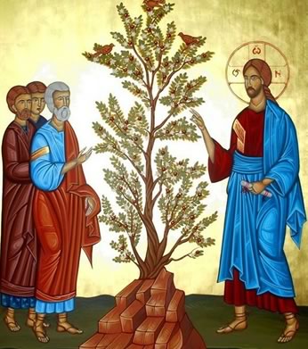 Liturgia e Homilia do XI Domingo do Tempo Comum - Ano B