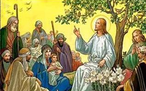 Liturgia e Homilia do XI Domingo do Tempo Comum, Ano B