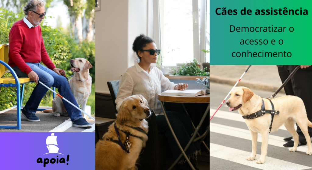 Conducere apoia: 1º Congresso Brasileiro sobre Cães de Assistência