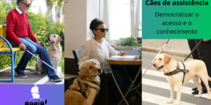 Conducere apoia: 1º Congresso Brasileiro sobre Cães de Assistência