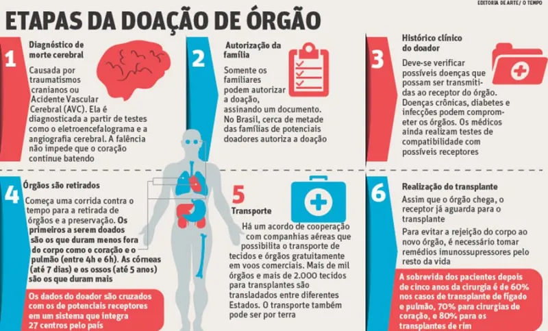 Etapas da doação de órgãos